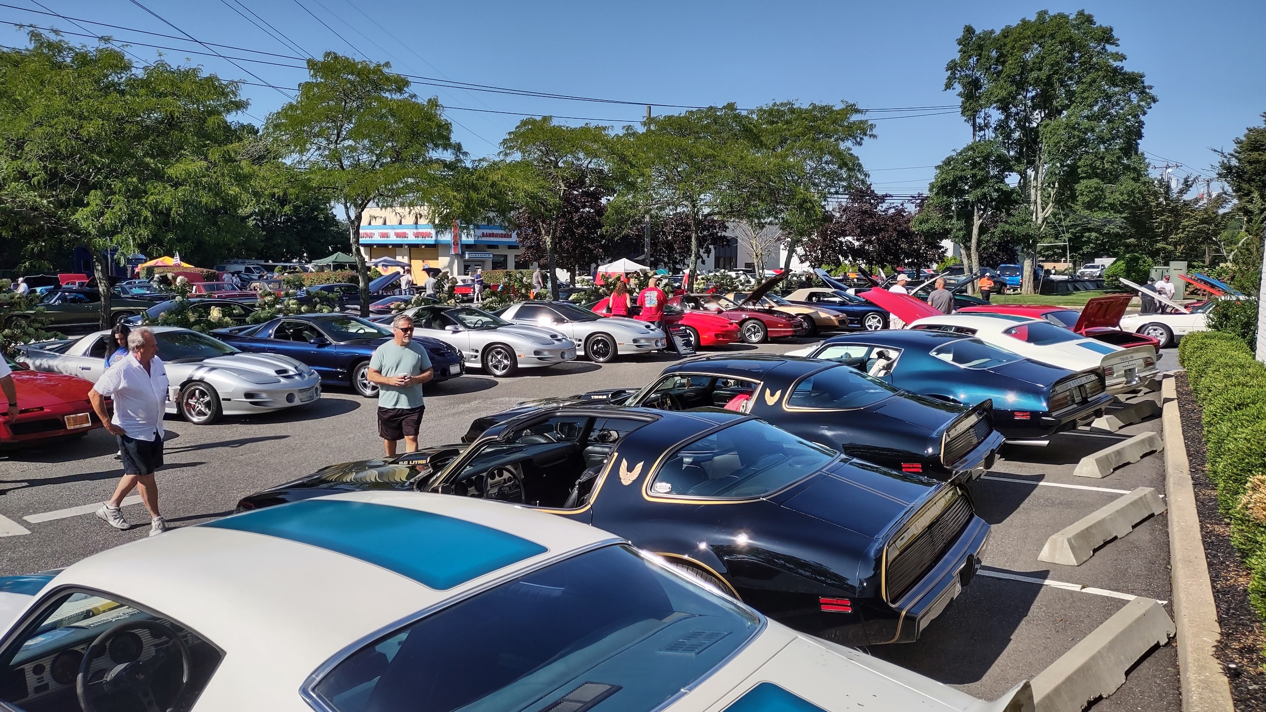 Sharing the passion: The benefits of joining a car club