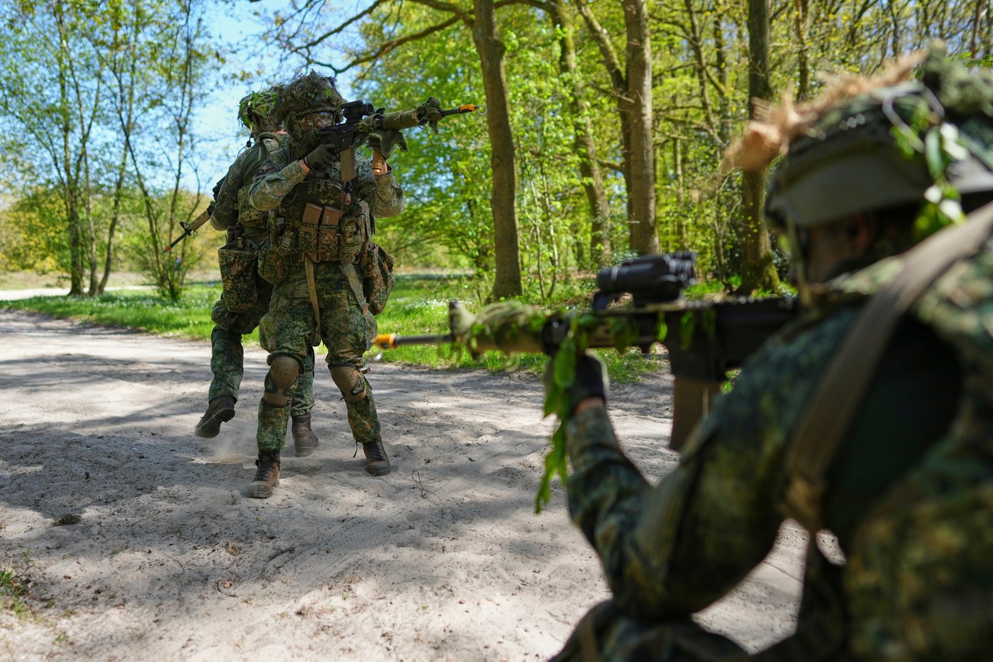 Royals boost Dutch military volunteers as Europe looks to ramp up troop ...