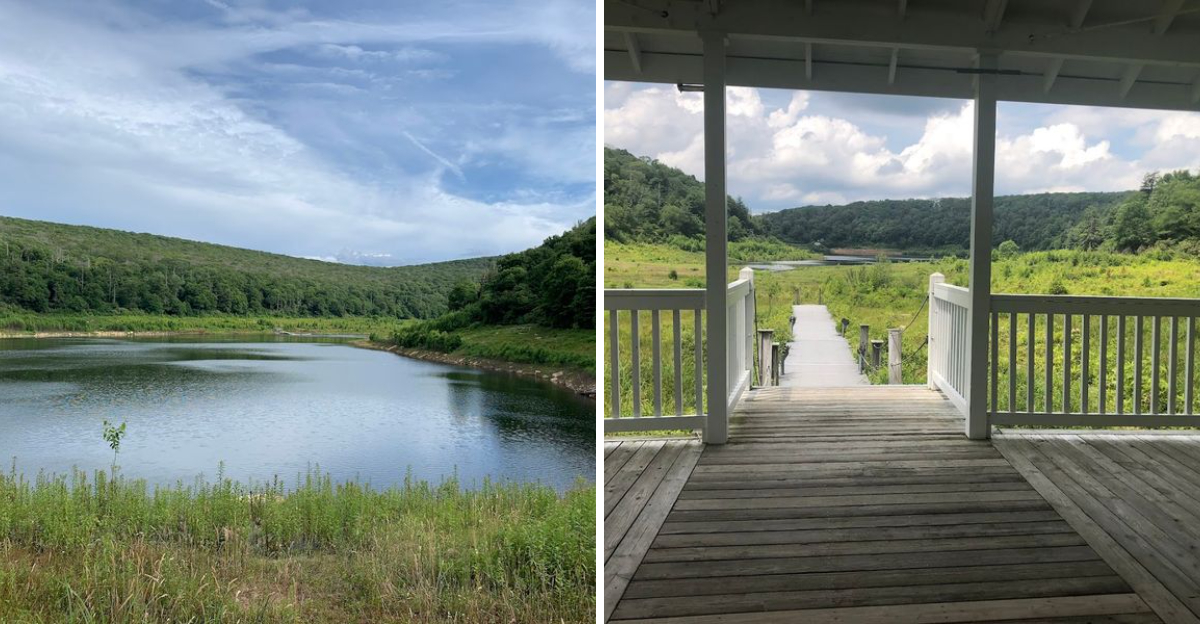 This Virginia ghost lake was supposed to be a scenic paradise, but now ...