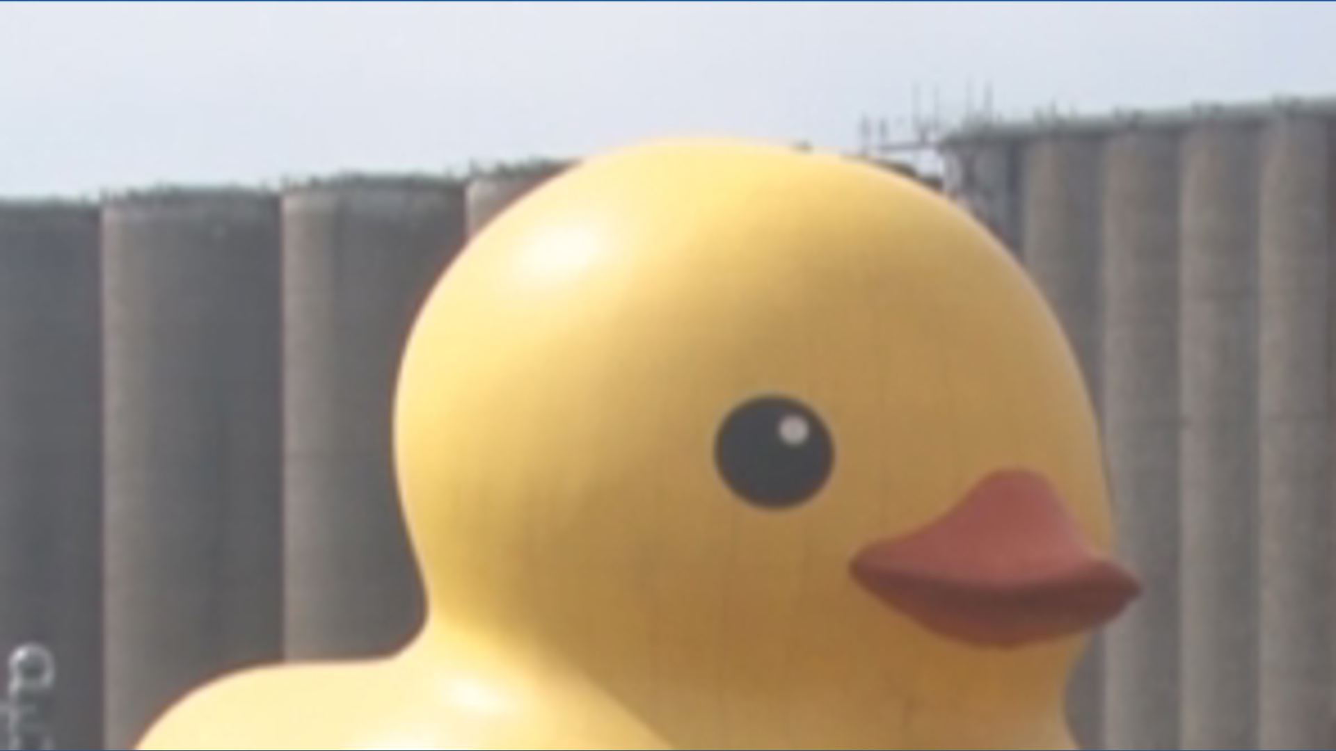 From the archives: World's largest rubber duck comes to Buffalo