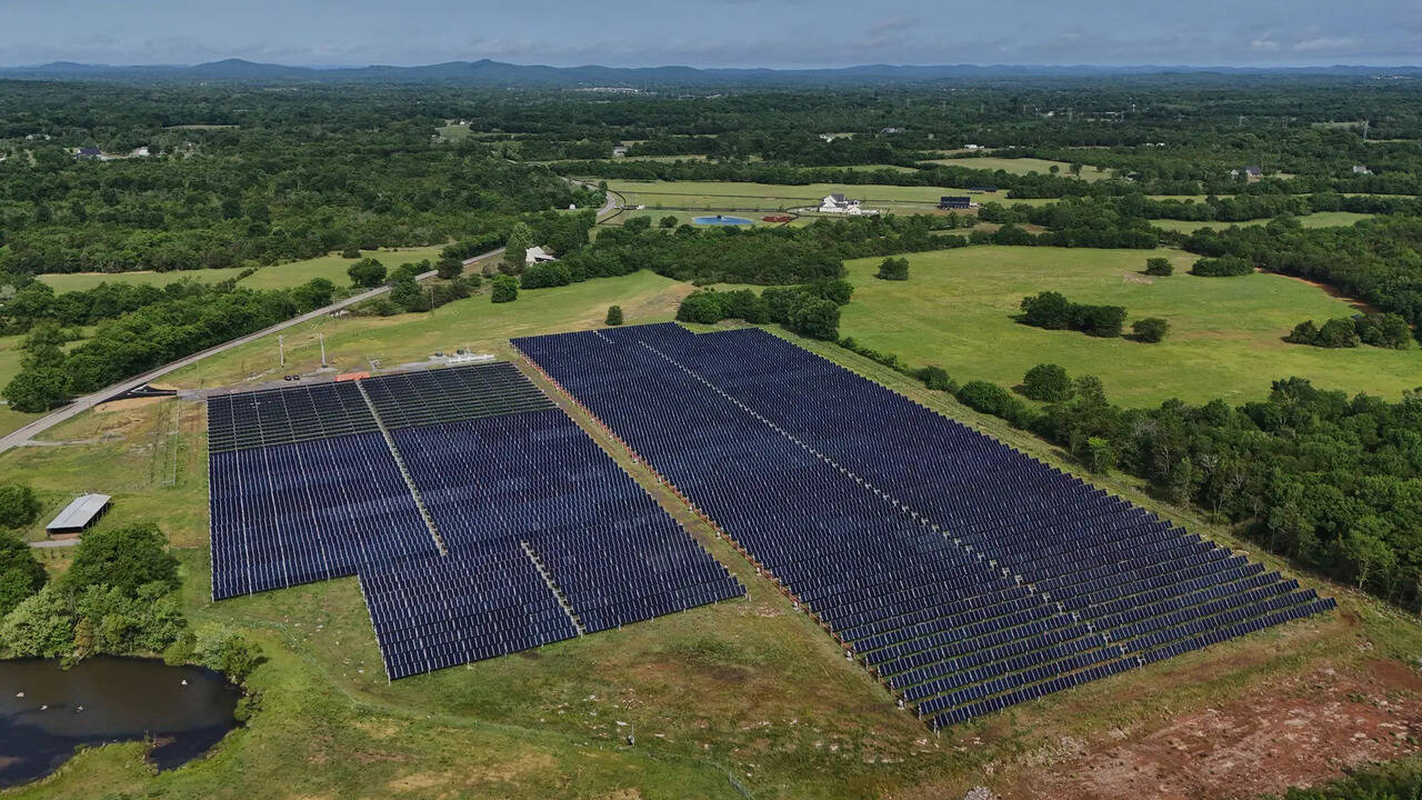 Tennessee solar farm integrates cattle grazing to enhance agricultural ...