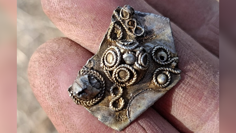 Nearly 3,000 coins discovered in field are Norway's largest Viking ...