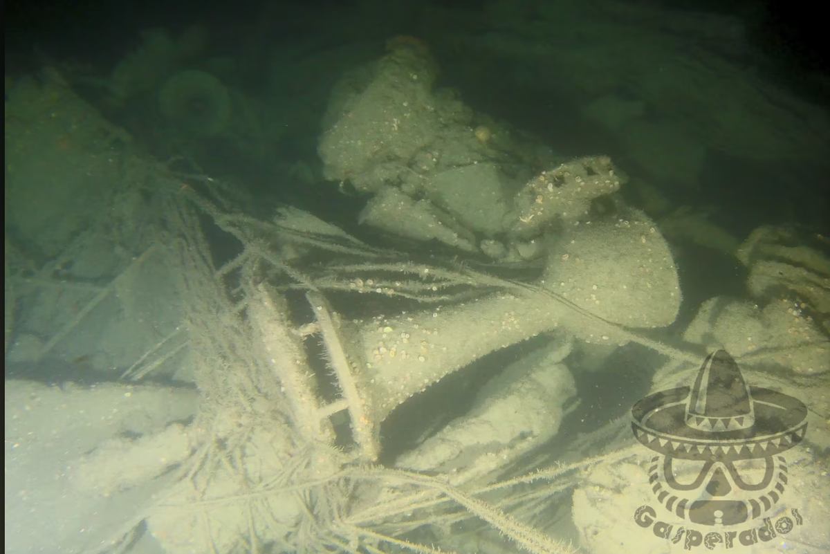 Divers find missing wreck of the biggest US Navy loss of World War I