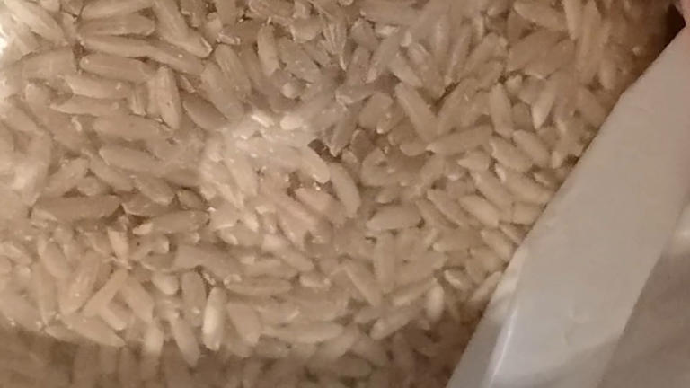Woman who bought rice on Amazon shocked to see something wiggling ...