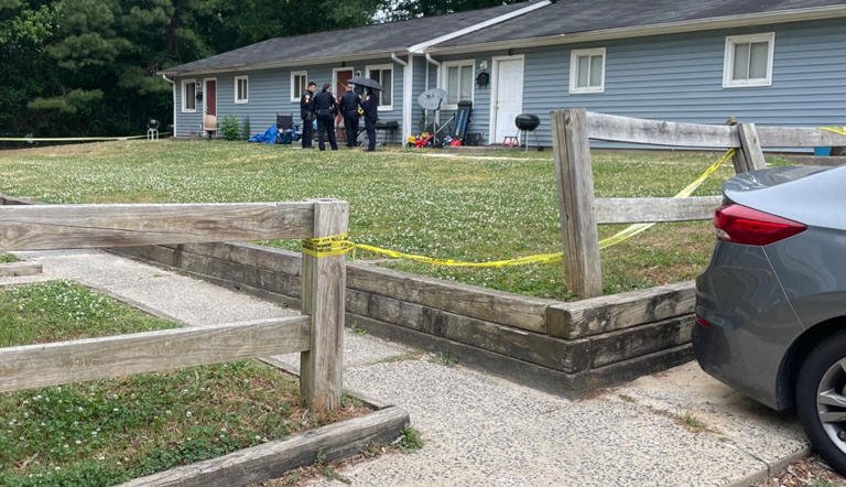 Felon charged after woman seriously injured in shotgun shooting, North ...