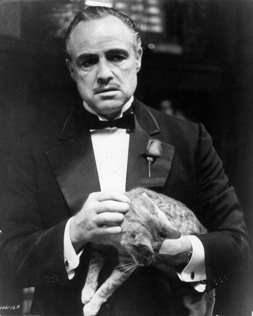 "I'm gonna make him an offer he can't refuse" – The Godfather, 1972