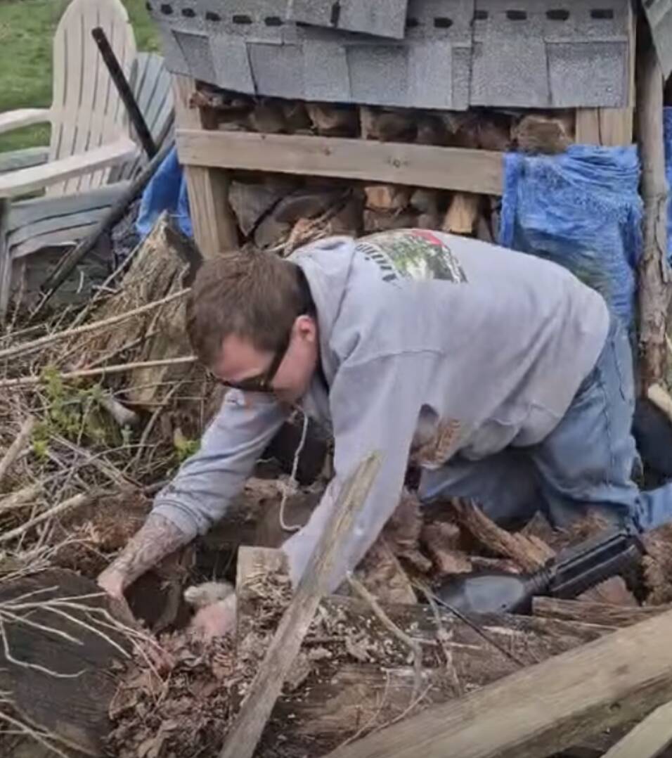 Rescuer Reaches Into Abandoned Rabbit Den And Pulls Out Two Orange Babies