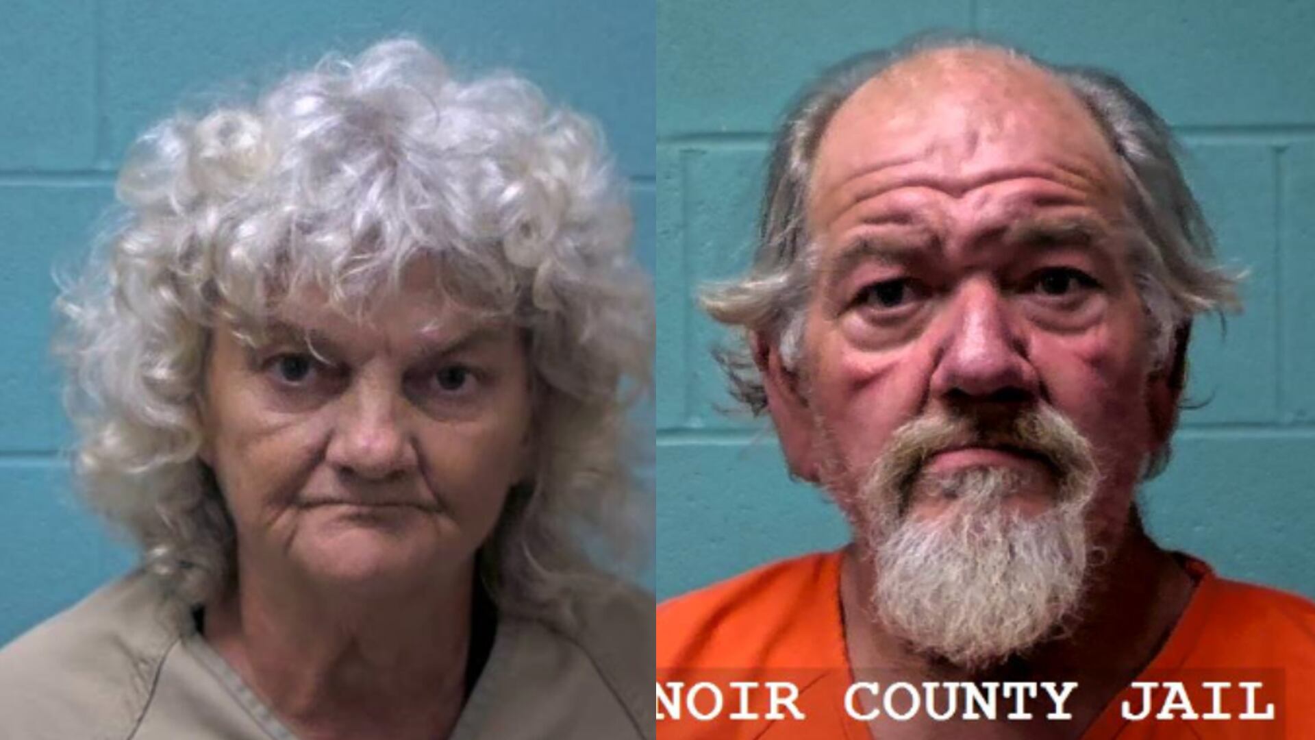 Two charged after drug raid at Lenoir County home