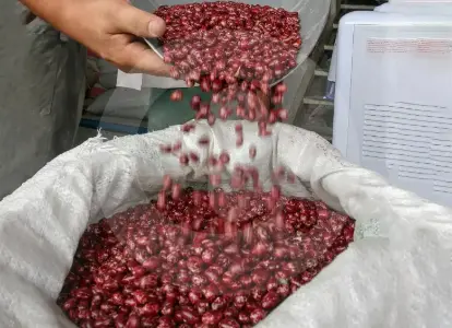 Estos son los productos ecuatorianos que se pondrán más caros en Colombia  con arancel del 75%