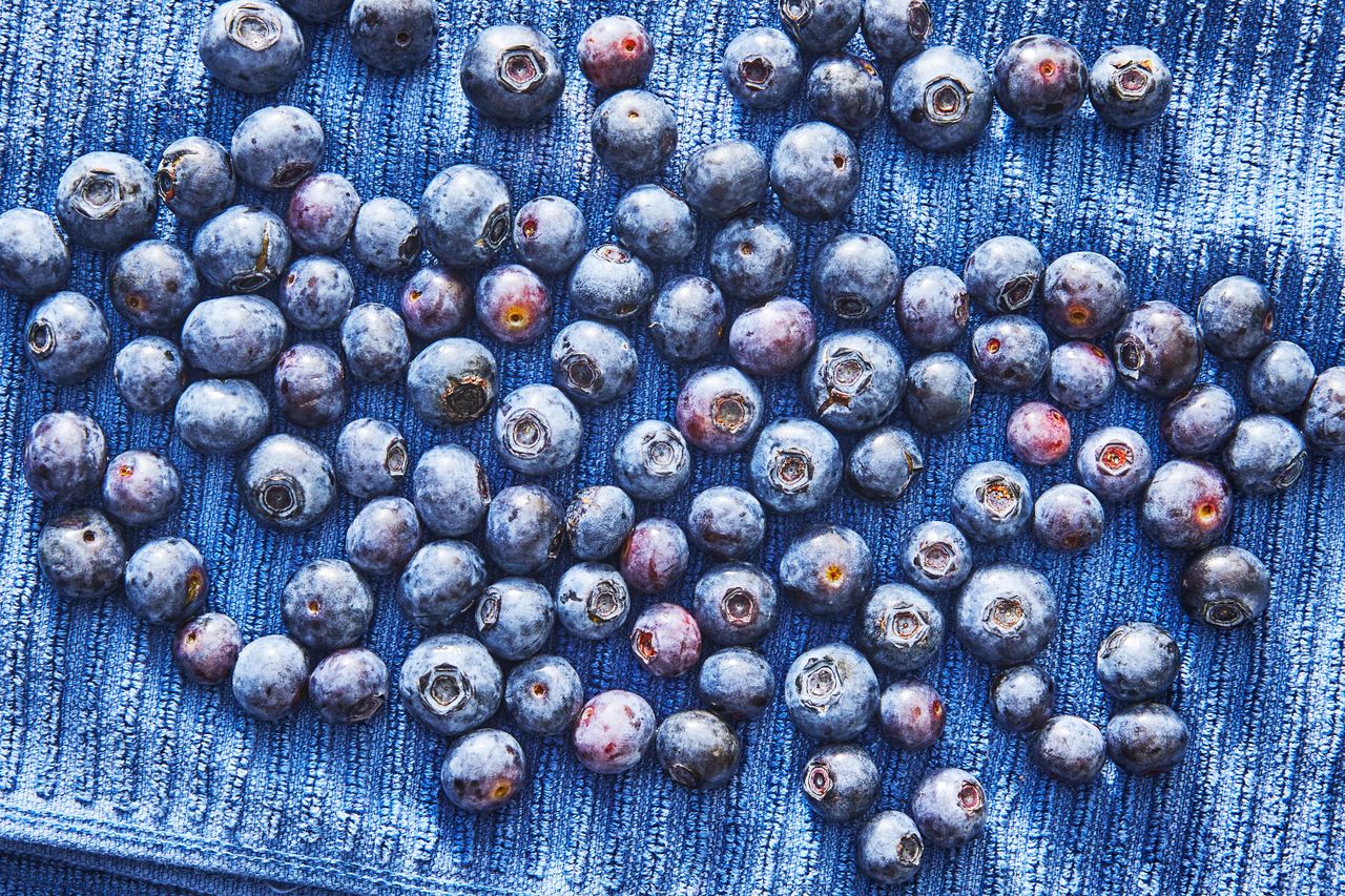 drying blueberries on a towel