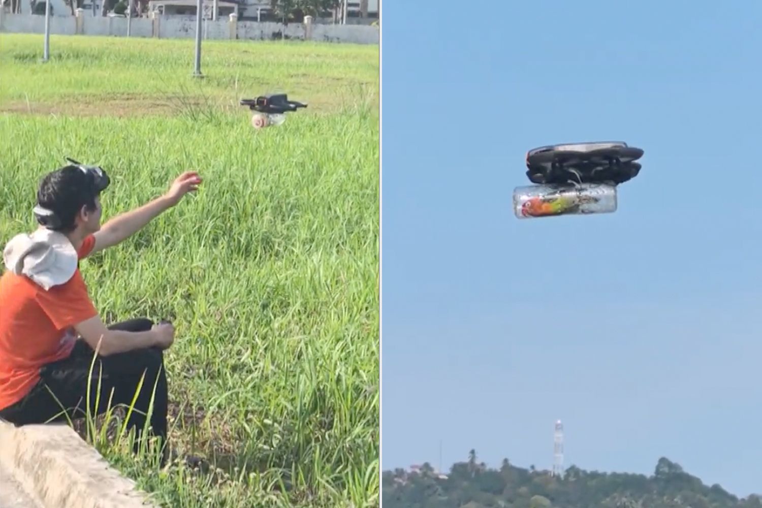 Pet owner finds a way to let his injured lovebird experience flight ...