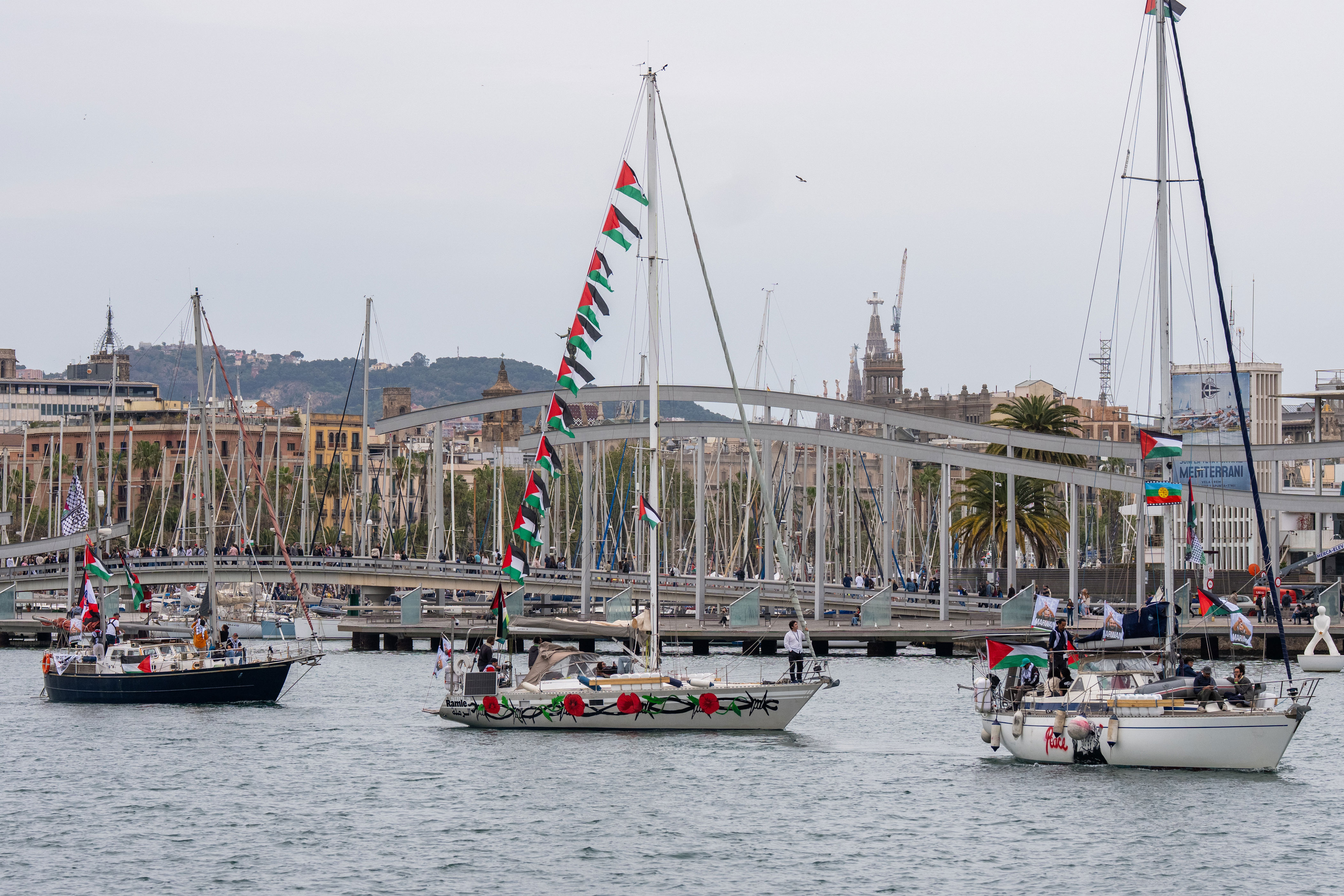 RSF condemns 'kidnapping' of three journalists on board Gaza aid flotilla
