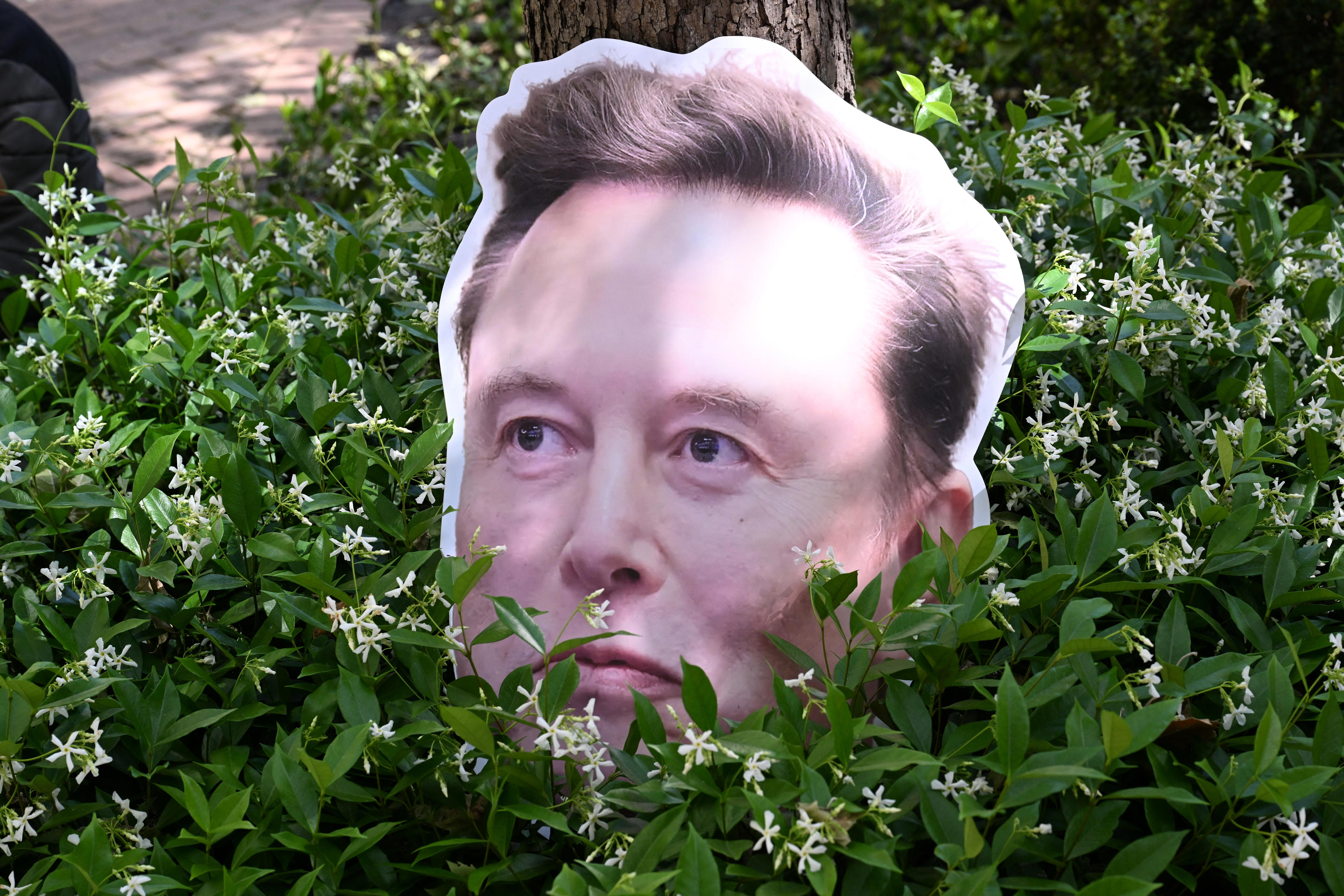 4 things you missed from day 4 of the Musk v. Altman trial