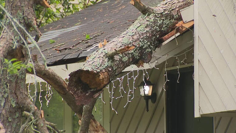 Tree falls on home during morning storm