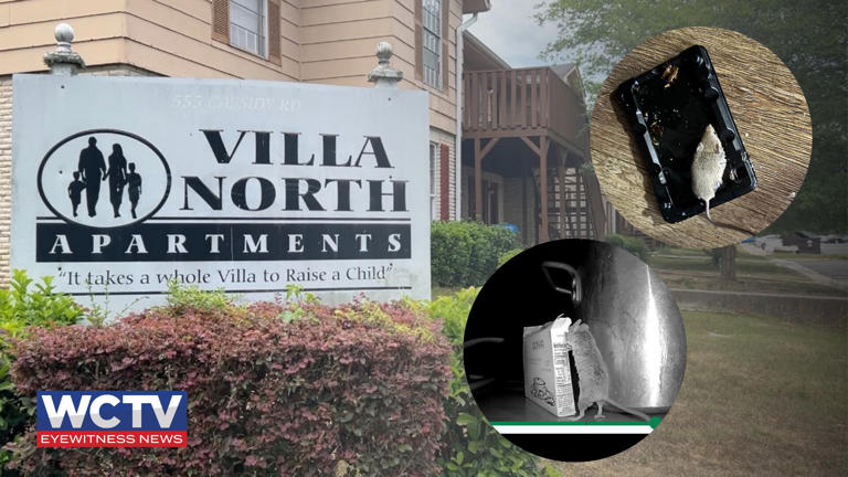 Villa North Apartments residents raise concerns over poor conditions ...
