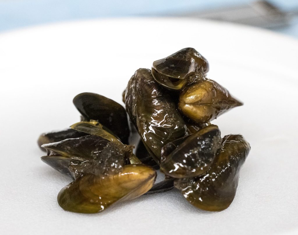 San Joaquin County proclaims local emergency about invasive golden ...