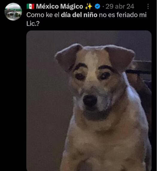 Día del Niño 2026: los mejores memes para que tu niño interior se ...