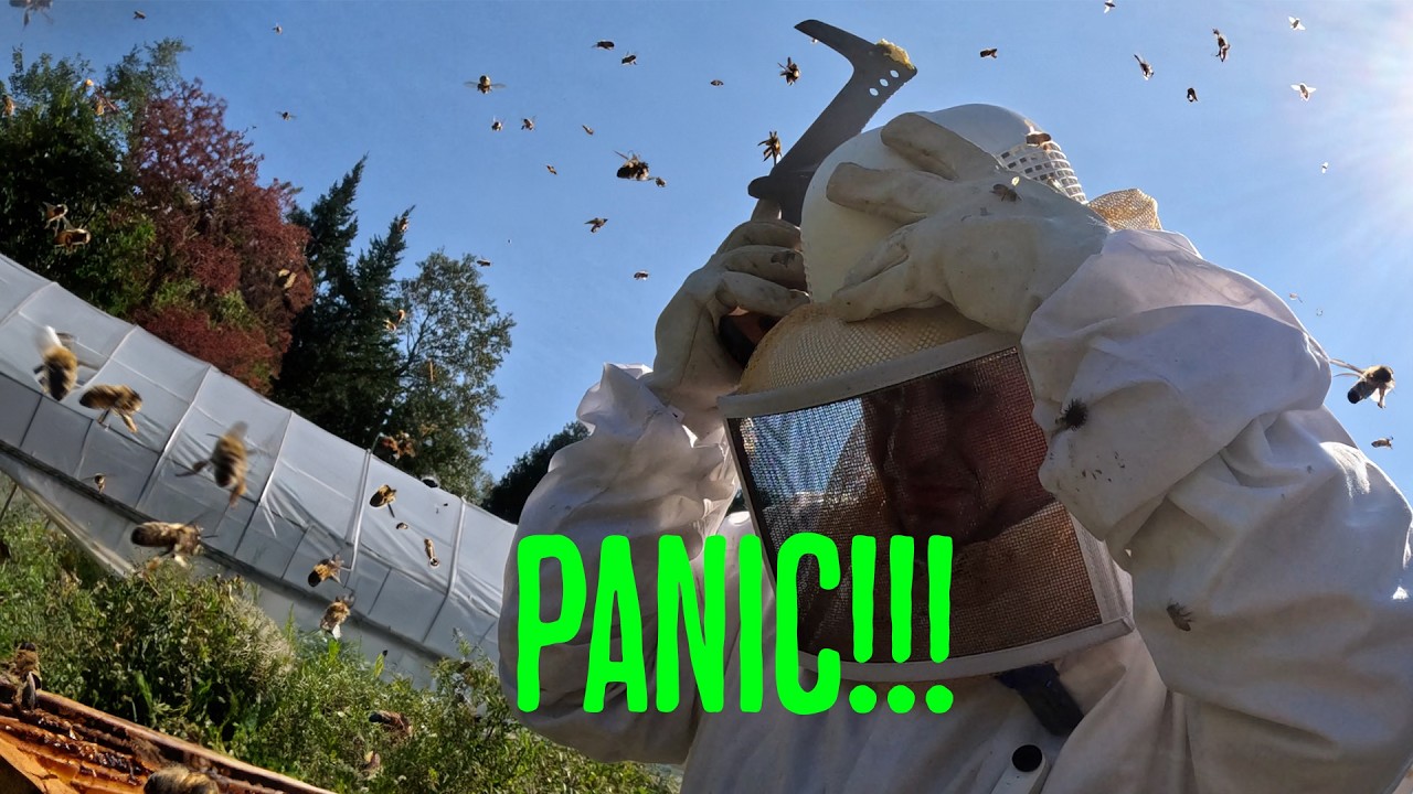 Stinging insects find their way into a beekeeper suit on a farm