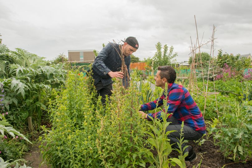 Five-year average wait time for South Dublin County Council allotments