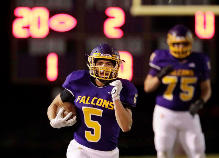 Sheboygan Falls schools land first major sponsorship after referendums