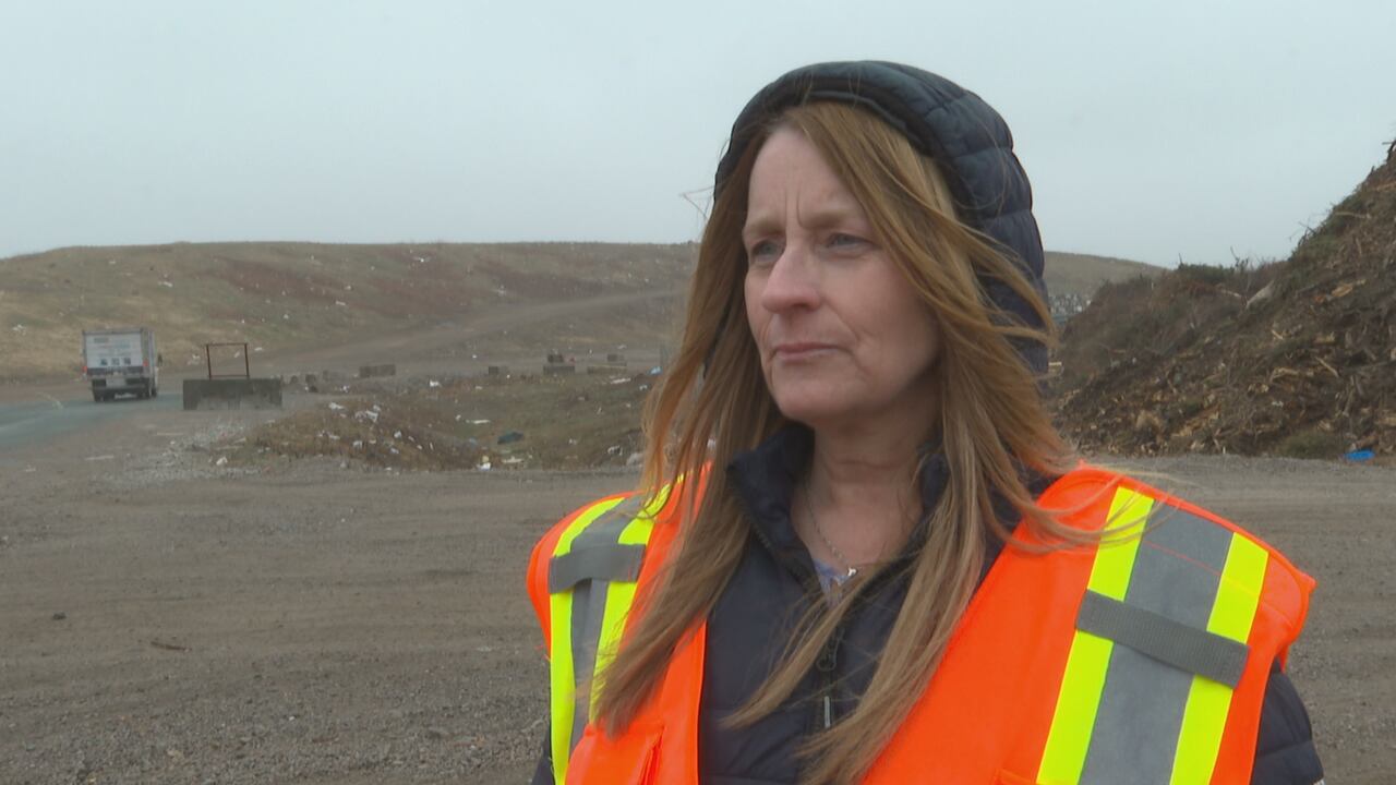 Long lines at the Sydney garbage dump before new fee system begins