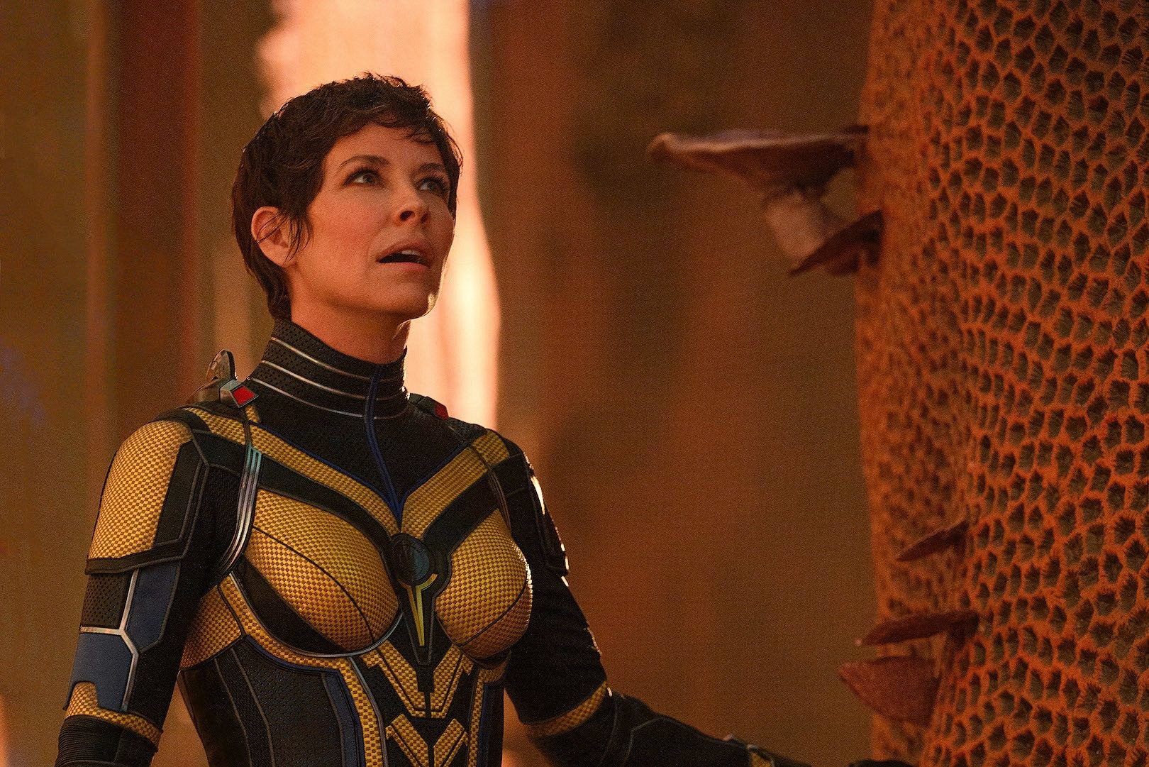Evangeline Lilly blasts Disney over Marvel artist layoffs