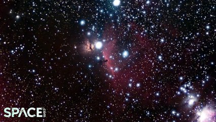 James Webb Space Telescope delivers amazing Horsehead Nebula imagery