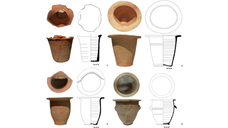 Poop-encrusted chamber pots from the Roman Empire reveal oldest known ...