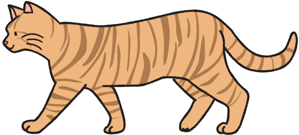 日本の「猫の毛色」は８種類！ 猫好きなら知っておきたい猫柄の見分け方を紹介【猫柄図鑑】