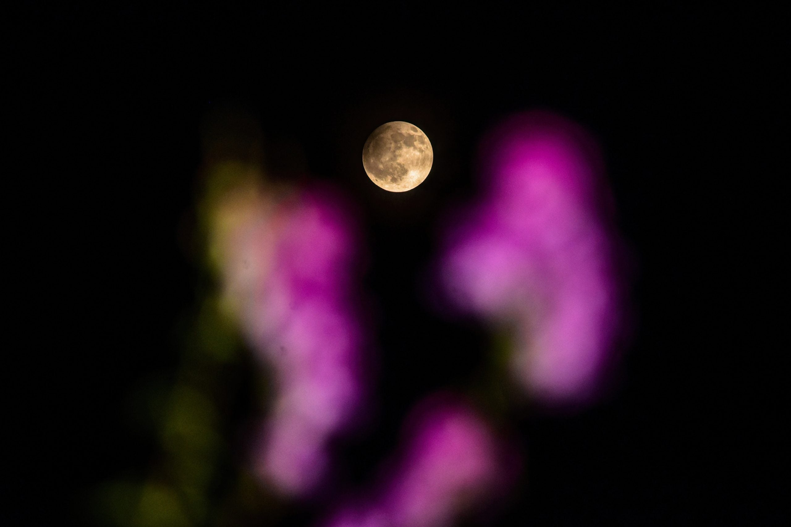 Full flower micromoon kicks off a rare double-moon May
