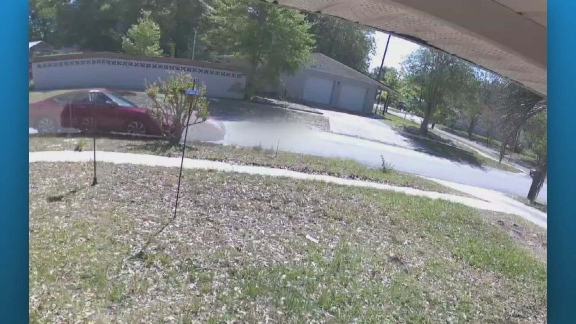 Woman accused of intentionally running over 11 ducklings