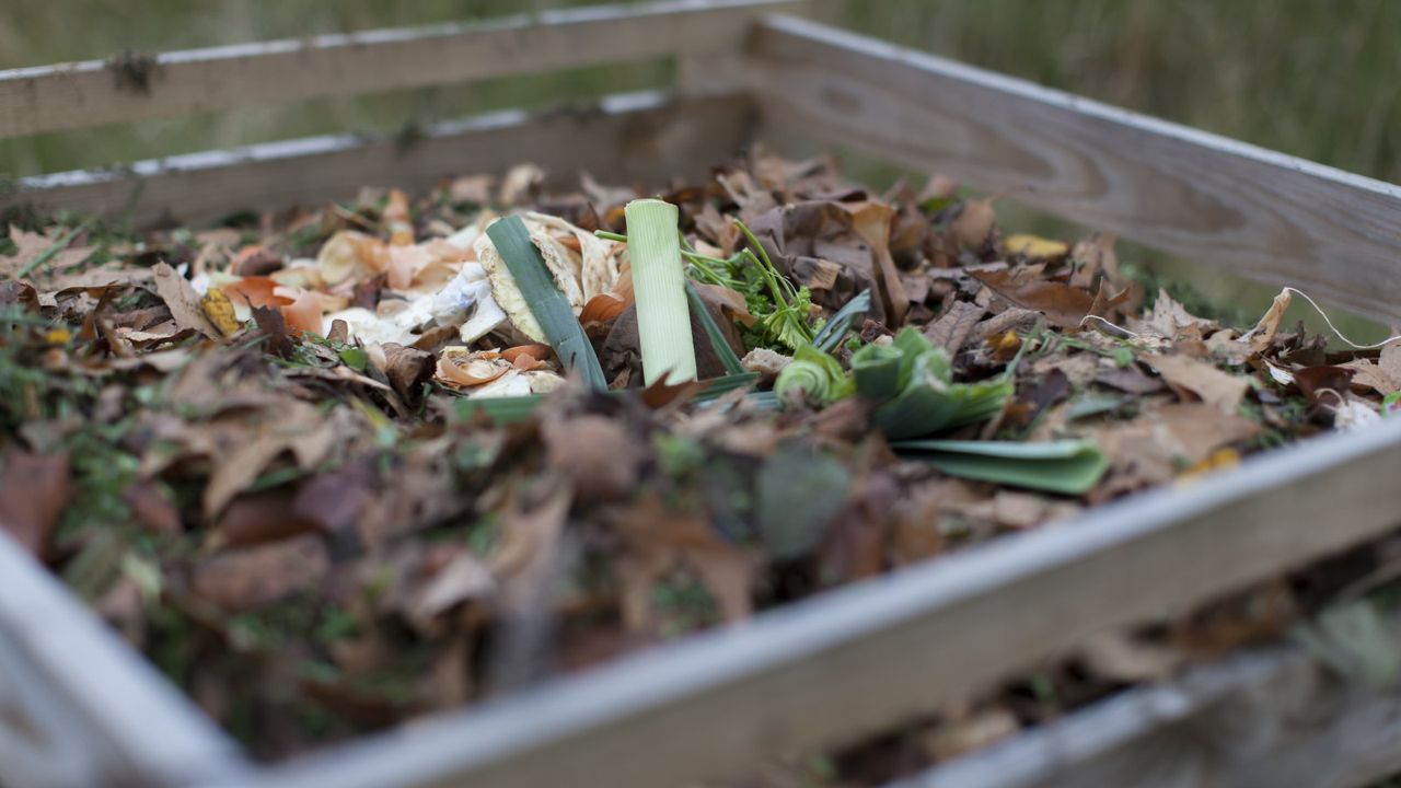 Say goodbye to slow, smelly compost – here’s how a compost chimney ...