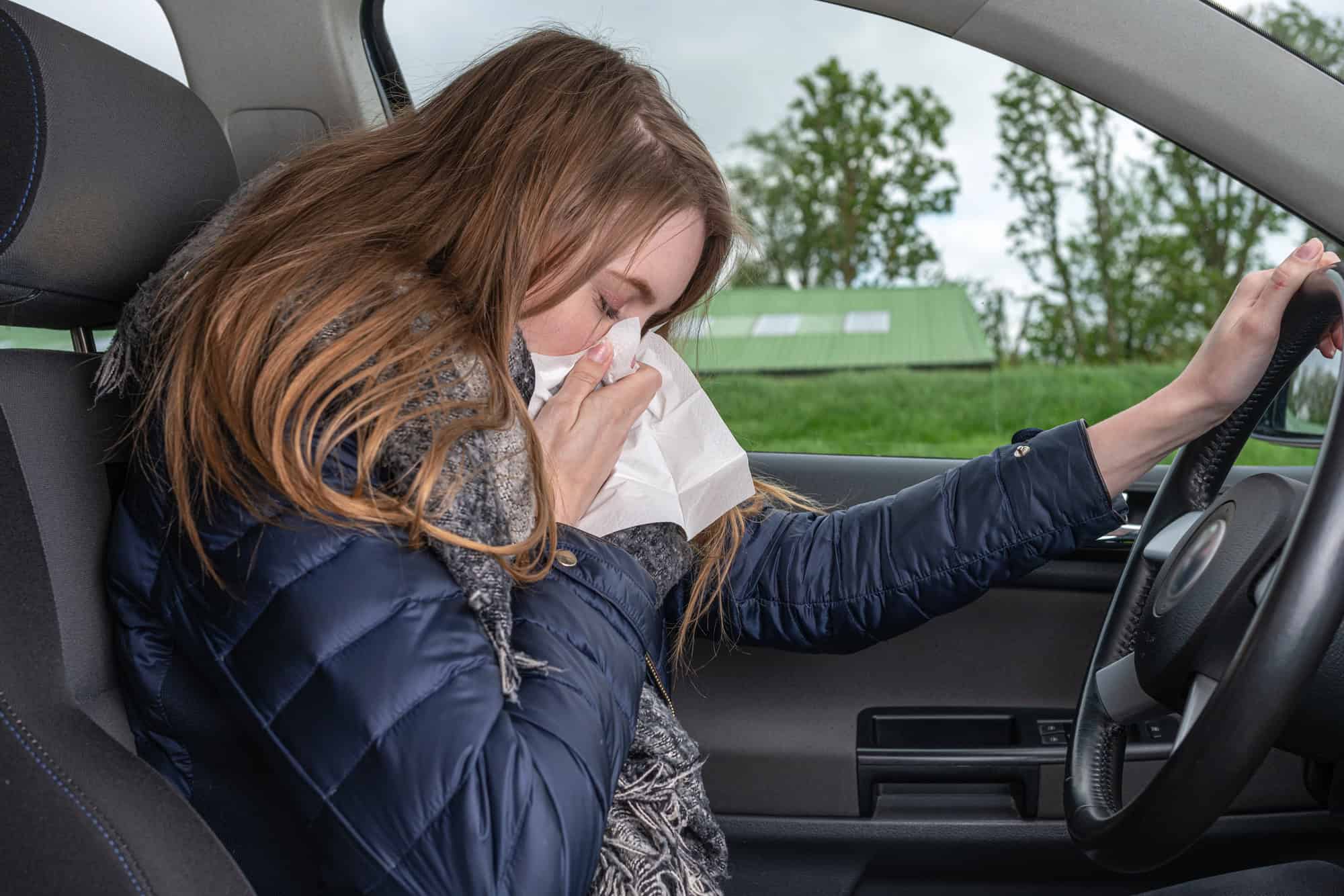 Hay fever can impair your driving as much as alcohol, and most drivers ...