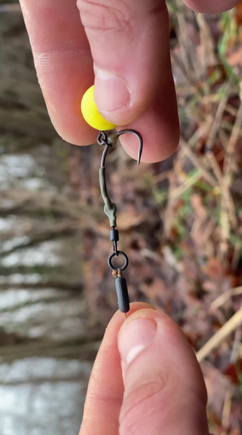 How to set up a carp rig the right way