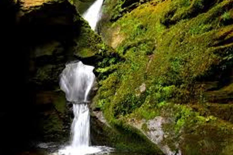 'Magical' waterfall in 'fairy-filled' wooded glen in neighbouring Cornwall