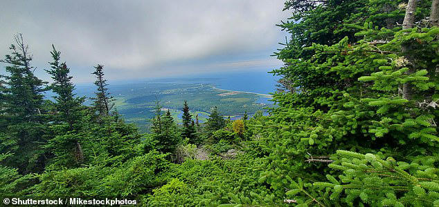 Her car was located near the Acadian Trail in Cape Breton National Park (pictured)