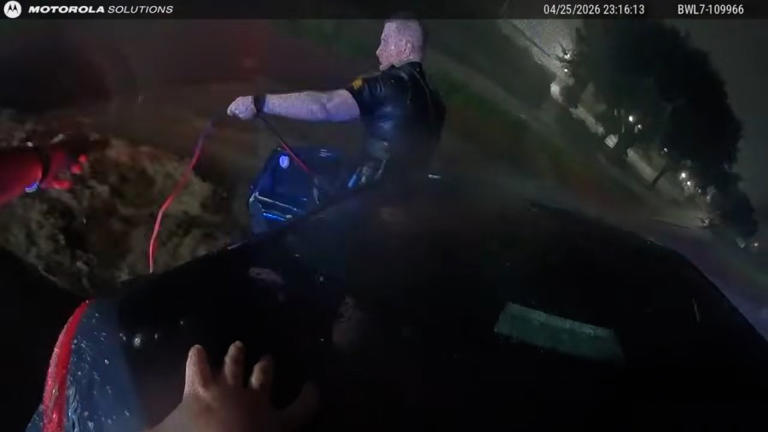 Watch: Police save mother, 3 children after car becomes stranded in ...