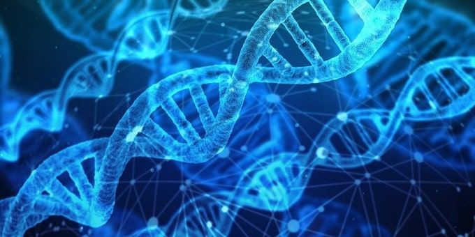 「DNAはDNAから」じゃなかった? 細菌酵素が原理を揺るがす…教科書再編の可能性