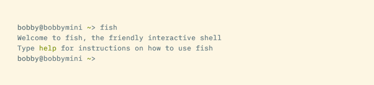 Fish is the Bash alternative all beginner programmers should use