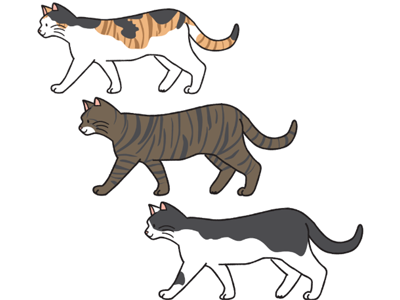 日本の「猫の毛色」は８種類！ 猫好きなら知っておきたい猫柄の見分け方を紹介【猫柄図鑑】