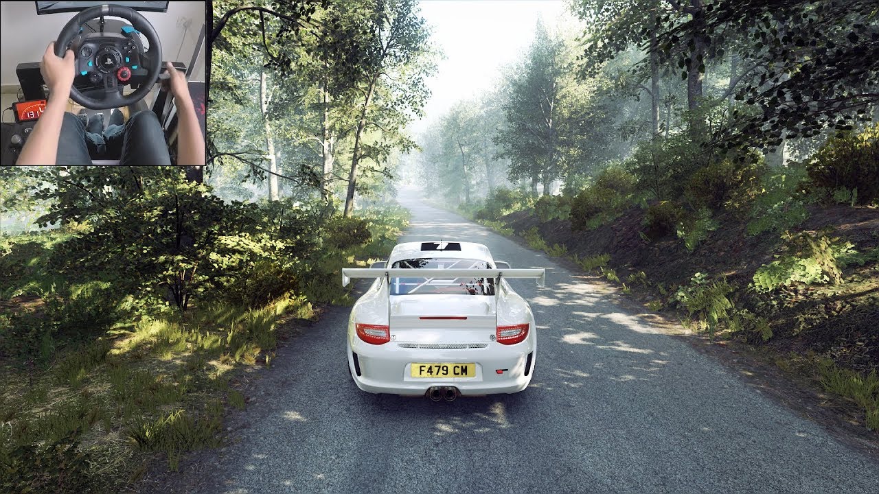 Sim racing experience with Porsche 911 rally setup