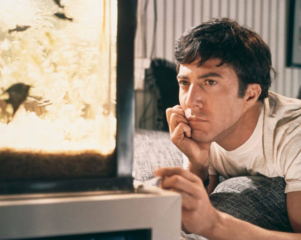 "Mrs. Robinson, you're trying to seduce me. Aren't you?" – The Graduate, 1967