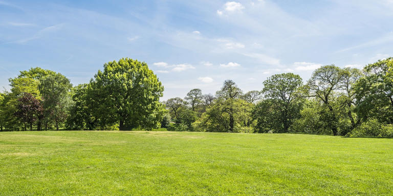 Met Office weather: Change on the way but not before warmth and sunny ...
