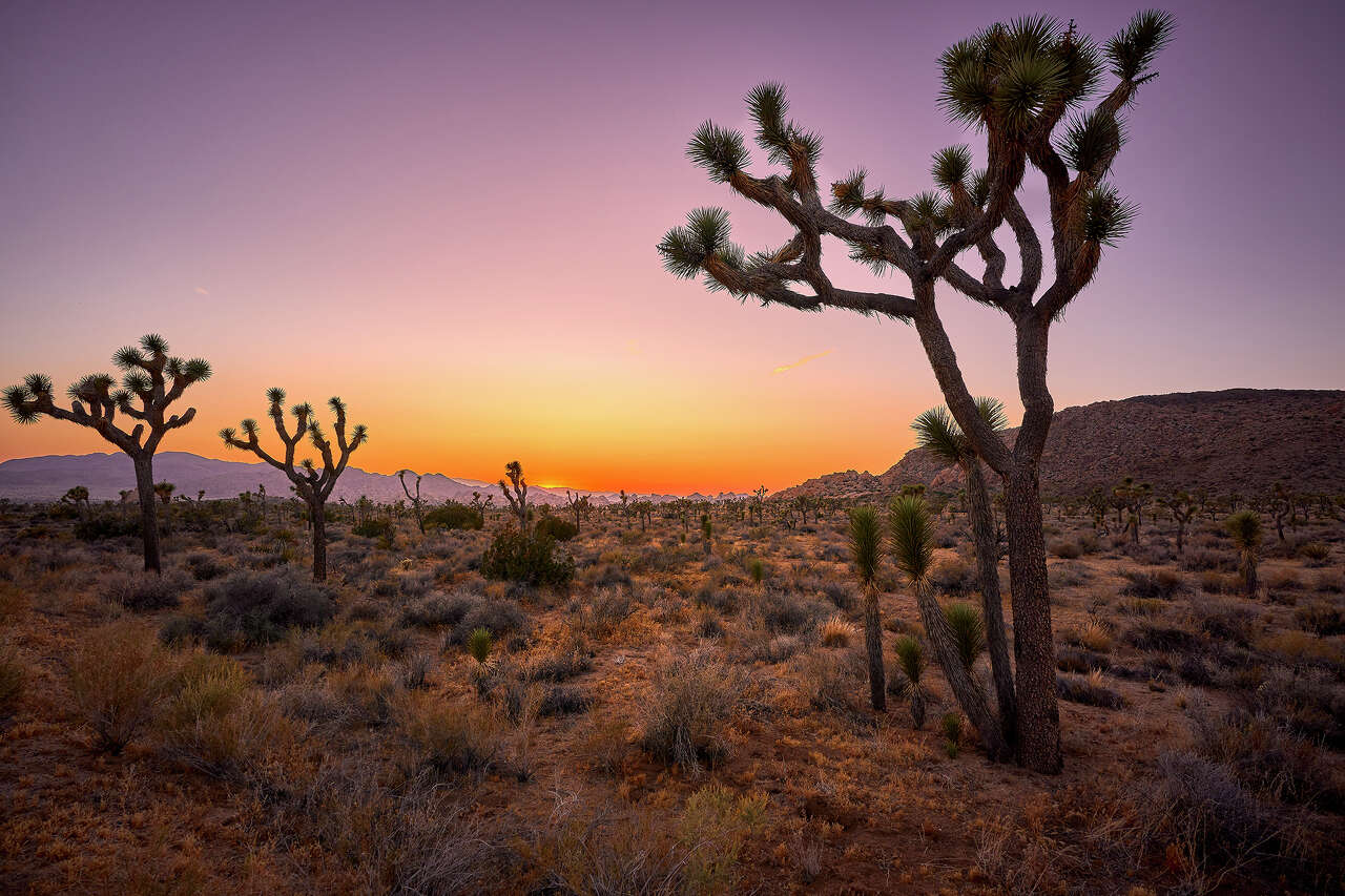 View of Vegas builder abandons high-end resort plan near California national park