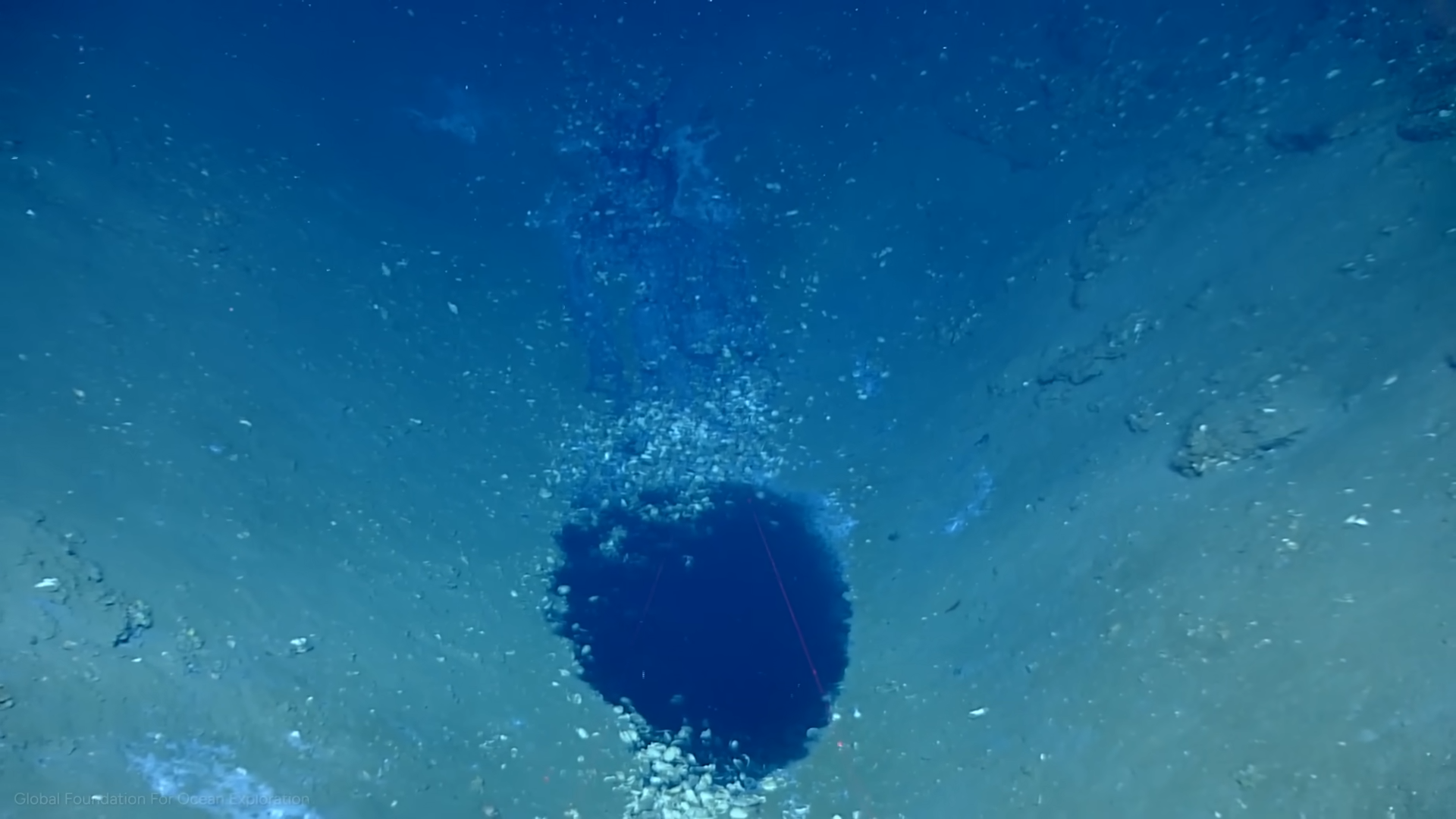 A submersible found a dark mirror on the seafloor - then saw the bodies