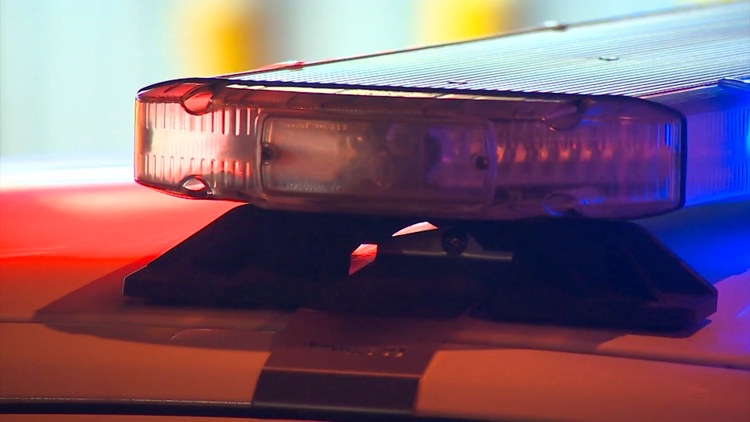 Ellis County deputy shoots, kills Red Oak man who allegedly pointed a ...