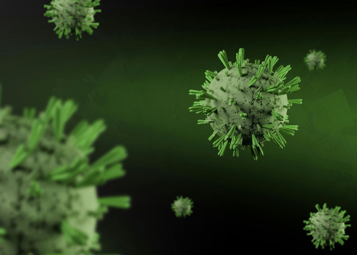 Hantavirus: South Africa tracks 97 possible contacts