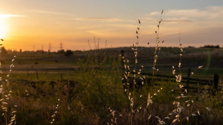 One of California's best cities to live in is an artsy, self-named ...