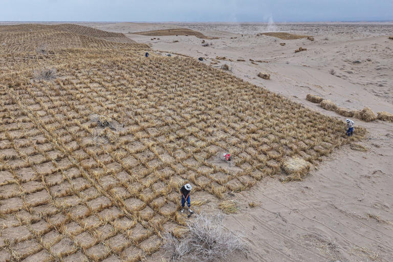 Massive funds needed to stop land around world becoming dust, UN warns