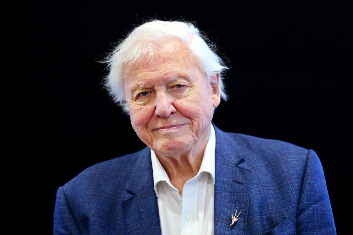 David Attenborough at 100: Who are his family and what do they do?